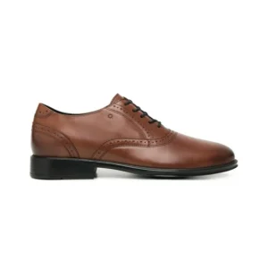 Oxford Quirelli Lando 701508 Vino Piel Caballero